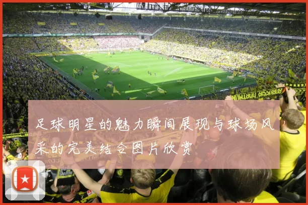 足球明星的魅力瞬间展现与球场风采的完美结合图片欣赏