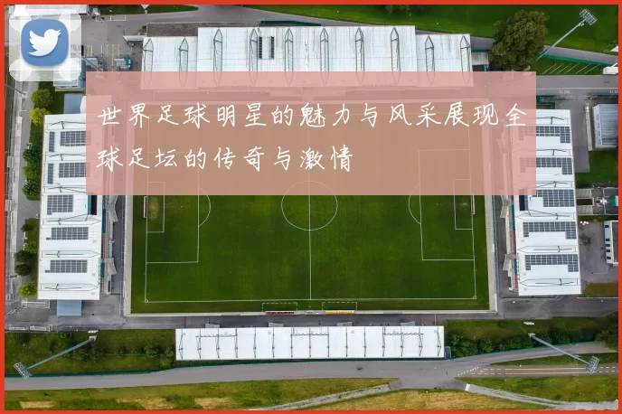 世界足球明星的魅力与风采展现全球足坛的传奇与激情