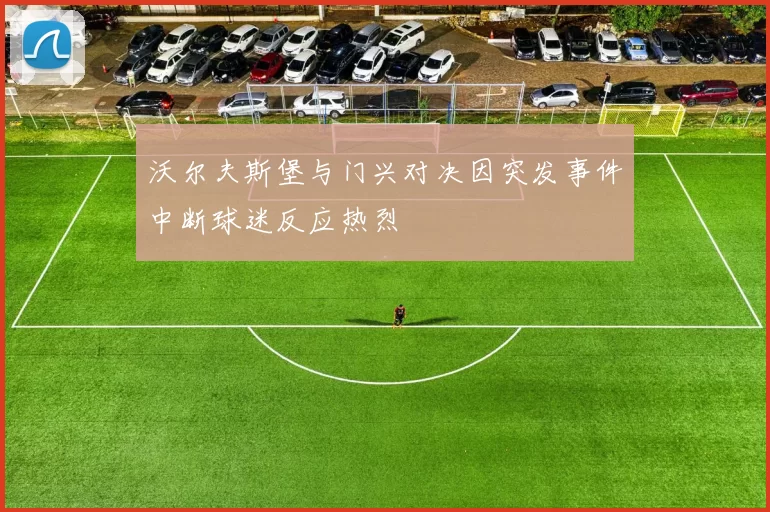 沃尔夫斯堡与门兴对决因突发事件中断球迷反应热烈