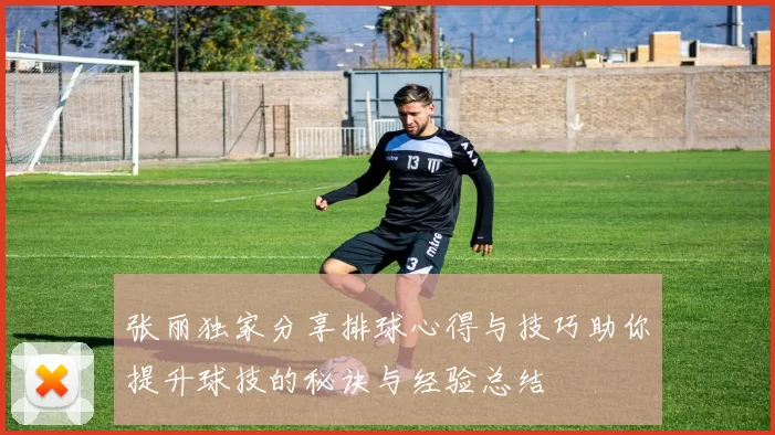 张丽独家分享排球心得与技巧助你提升球技的秘诀与经验总结