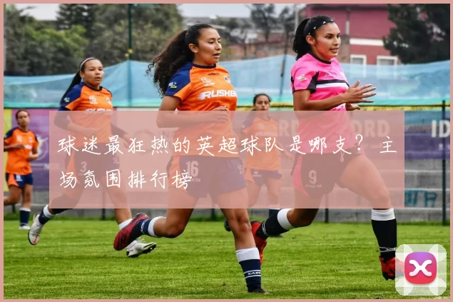 球迷最狂热的英超球队是哪支？主场氛围排行榜