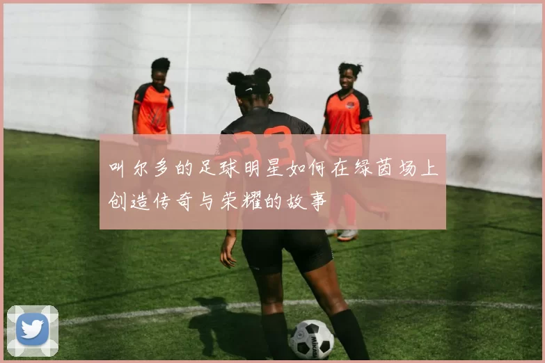 叫尔多的足球明星如何在绿茵场上创造传奇与荣耀的故事