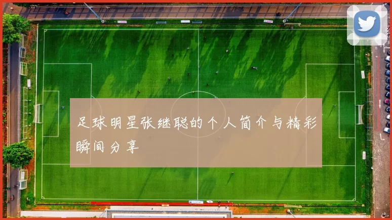 足球明星张继聪的个人简介与精彩瞬间分享