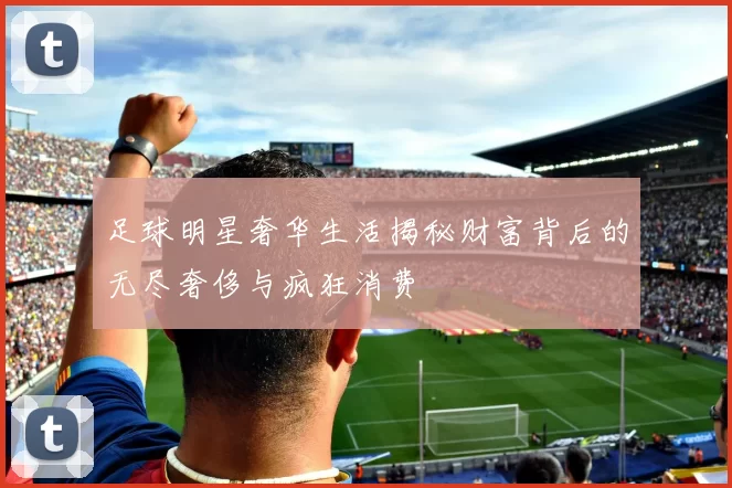 足球明星奢华生活揭秘财富背后的无尽奢侈与疯狂消费