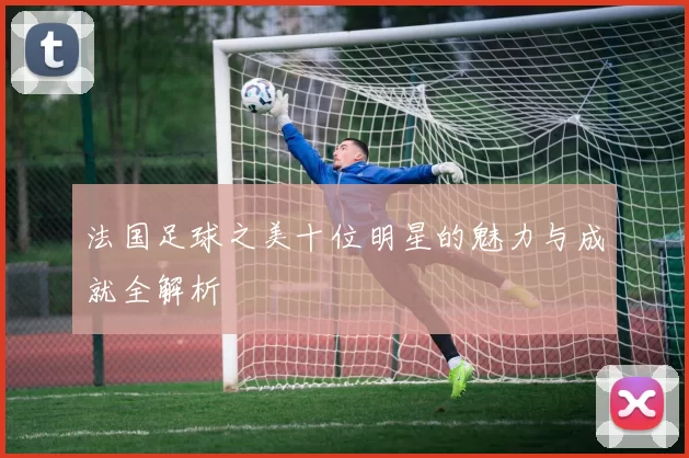 法国足球之美十位明星的魅力与成就全解析
