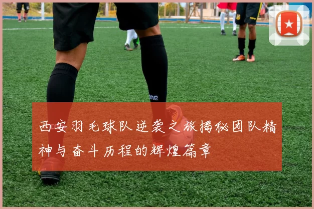 西安羽毛球队逆袭之旅揭秘团队精神与奋斗历程的辉煌篇章