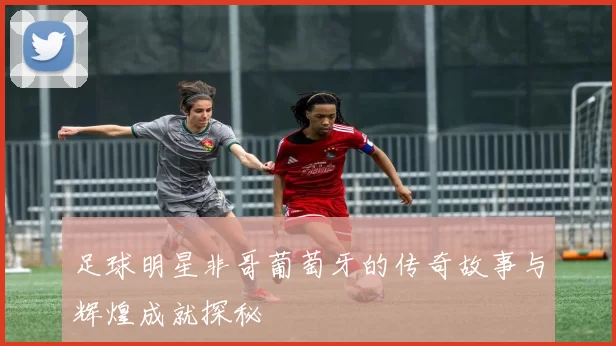 足球明星非哥葡萄牙的传奇故事与辉煌成就探秘