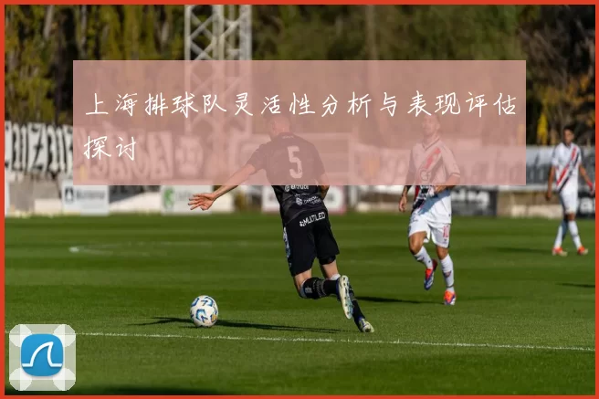 上海排球队灵活性分析与表现评估探讨