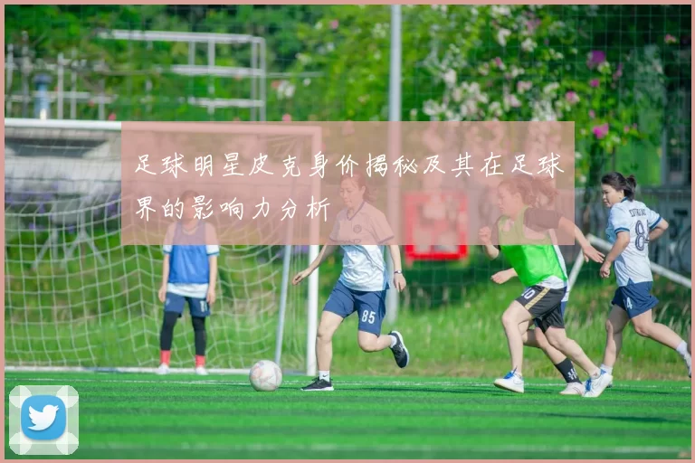 足球明星皮克身价揭秘及其在足球界的影响力分析