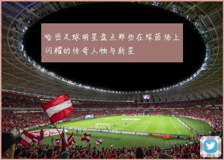 哈密足球明星盘点那些在绿茵场上闪耀的传奇人物与新星